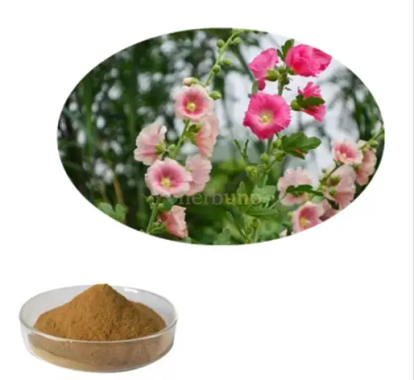 Marshmallow Extract Powder - other