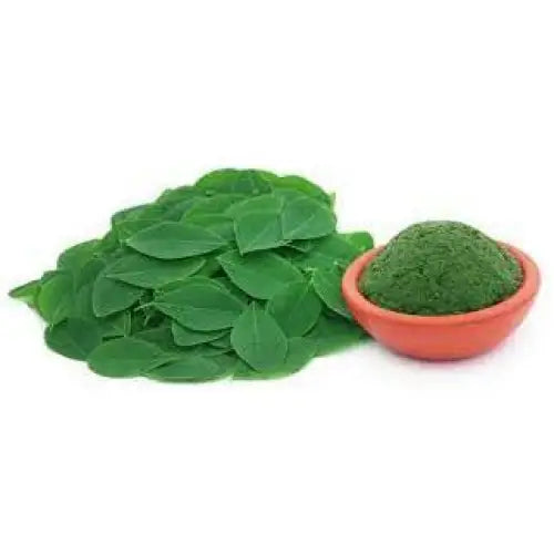 Moringa oleifera Leaf Extract Powder - Herbuno