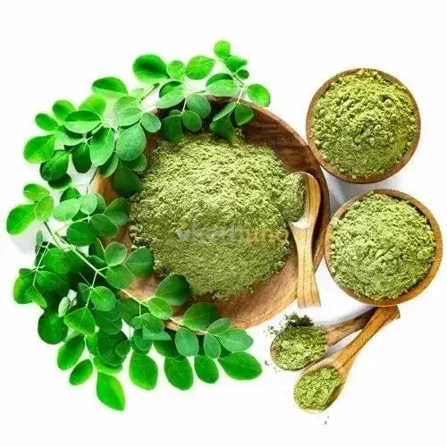 Moringa oleifera Leaf Extract Powder - Herbuno