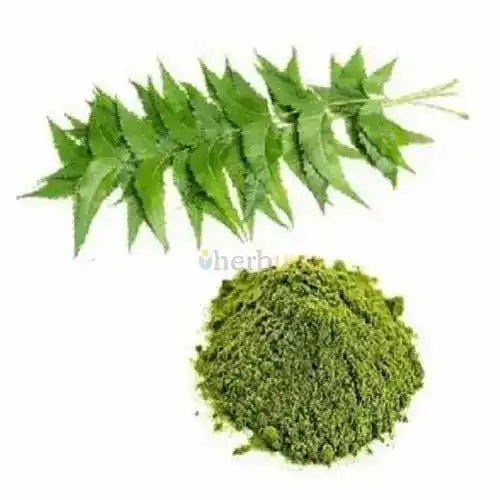 Neem Leaf Extract Powder - Herbuno.Com