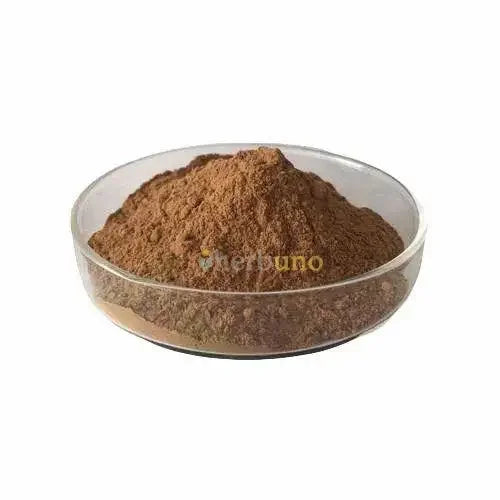 Oenothera Biennis Evening Primrose Extract Powder - Herbuno