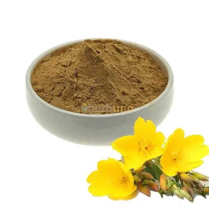 Oenothera Biennis Evening Primrose Extract Powder - Herbuno