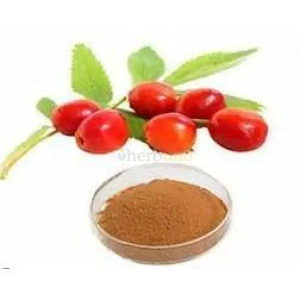 Rosa canina (Rose Hip) Extract Powder - other