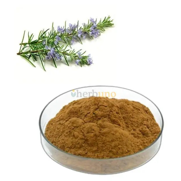 Rosemary Leaves Extract Powder for Hair Health - Herbuno