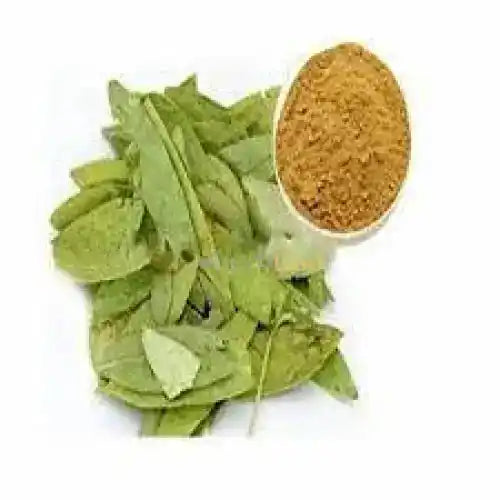 Senna Extract Powder 20% Sennosides - Herbuno