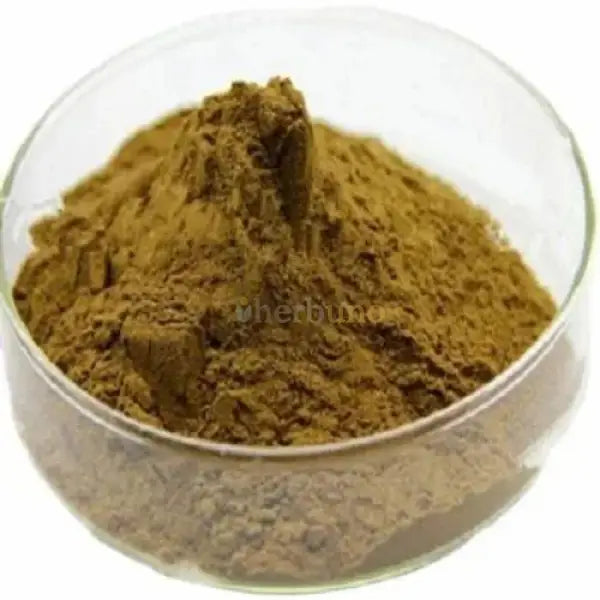 Solanum nigrum (Makoi / Black Nightshade) Extract Powder - other