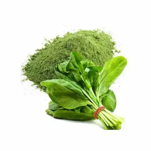 Spinach Powder - Nutrient-Rich - Herbuno (Gausyn Global LLP)