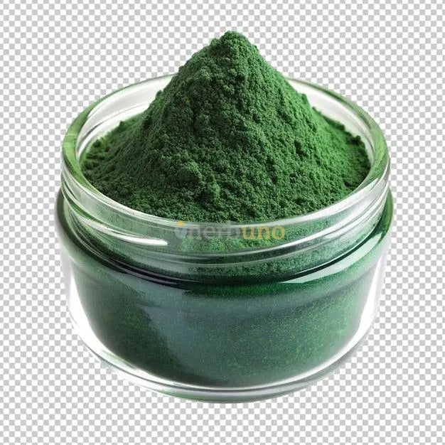 Spirulina Platensis Extract Powder - Nutrient-Rich - Herbuno