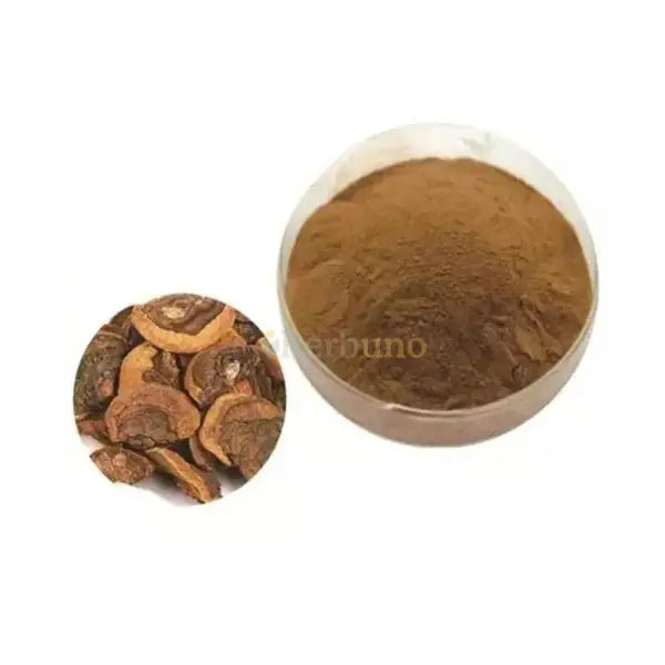 Tea Tree Extract Powder (Melaleuca alternifolia) - other