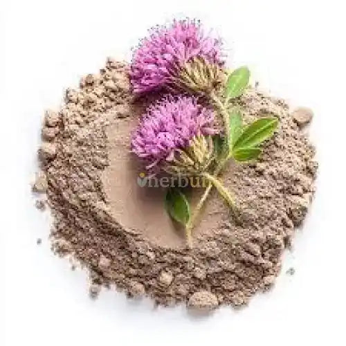 Trifolium Pratense (Red Clover) Extract Powder - Herbuno (Gausyn Global LLP)