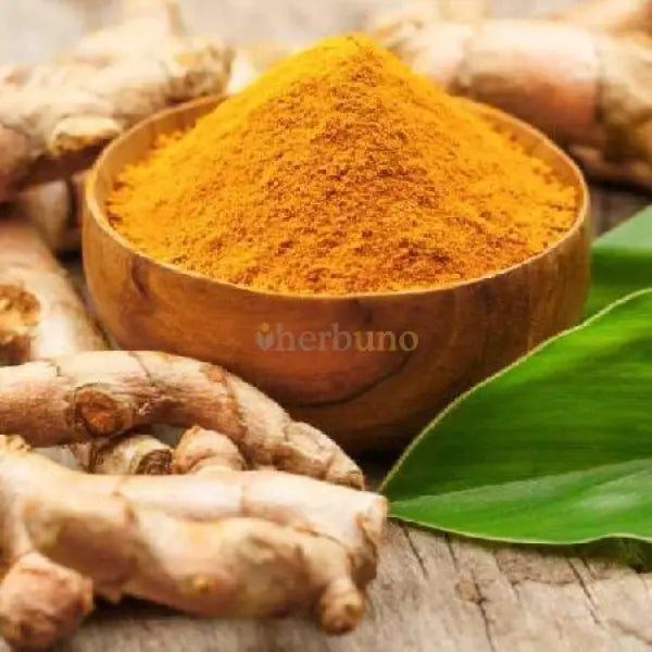 Turmeric Extract Powder (Curcuma longa) - other