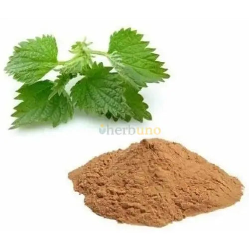 Urtica Dioica Nettle Root Extract Powder - Herbuno