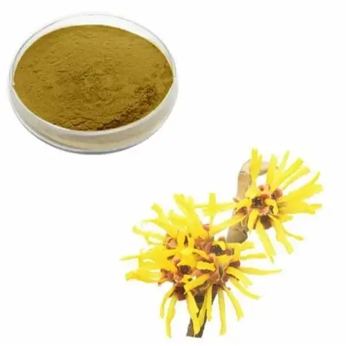 Witch Hazel Extract Powder - Herbuno (Gausyn Global LLP)