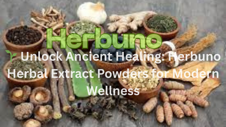 Herbal Extract Powders for Modern Wellness