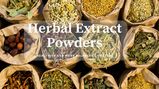Harness the Healing Power of Nature: Discover Herbuno’s Premium Herbal Extract Powders Collection