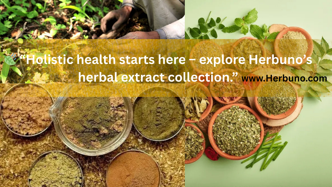 Discover the Power of Nature: Herbal Extract Powders from Herbuno
