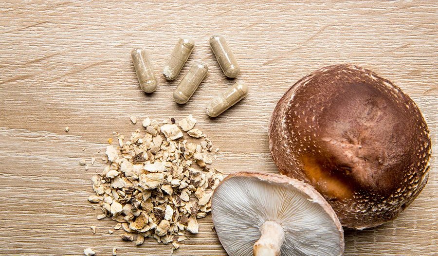 Exploring the Health Benefits of Mushroom Supplements