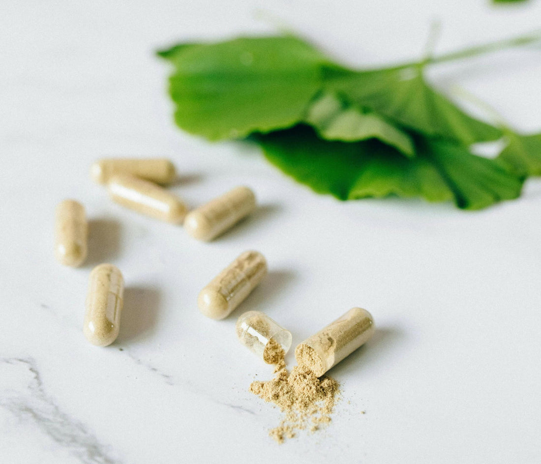 Top Nutraceutical Examples for Enhanced Wellness