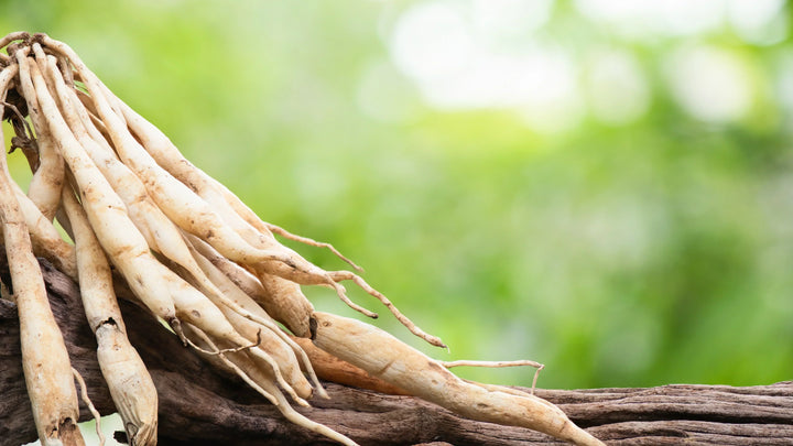 Shatavari and Women's Wellness: Boosting Strength, Balance, and Vitality Naturally - Herbuno