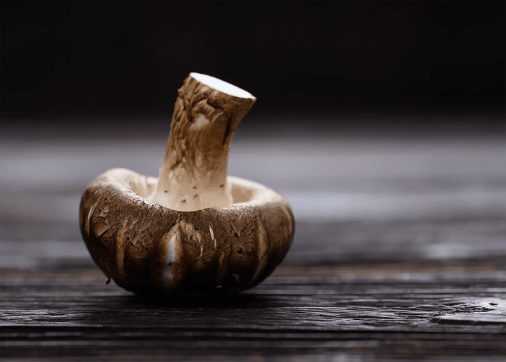 Wellness Powerhouse: Why Dried Mushrooms Are More Relevant Than Ever - Herbuno