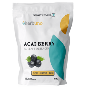 Acai berry Extract Powder - Euterpe oleracea - Bulk Supplier India