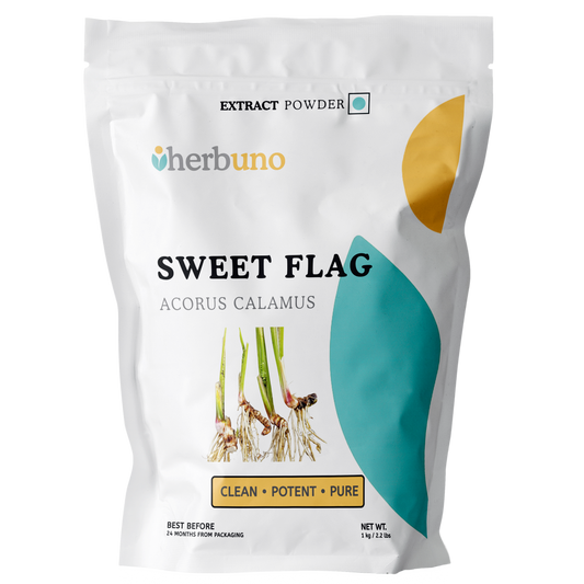Acorus Calamus (Sweet Flag) Extract Powder - Herbuno (Gausyn Global LLP)