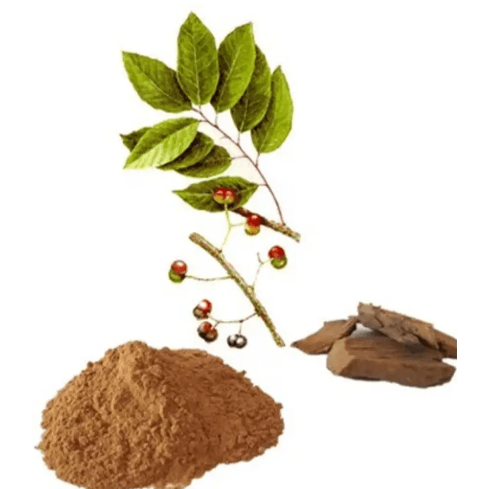 African Cherry Bark (Pygeum Africanum) Extract Powder  - Bulk Supplier India  - shop_name