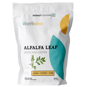 Alfalfa Leaf Extract Powder - Medicago sativa - Bulk Supplier India