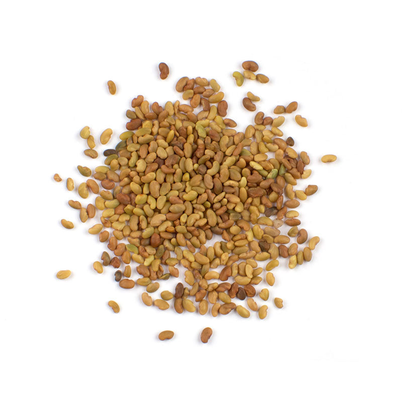 Alfalfa Seed Extract Powder - Medicago sativa - Herbuno.Com