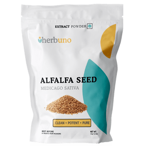 Alfalfa Seed Extract Powder - Medicago sativa - Bulk Supplier India