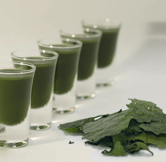Vitamin B12 (0.2%) — from Chlorella vulgaris - Herbuno