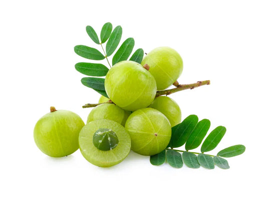 Vitamin C (50%) — from Emblica officinalis (Amla) - Herbuno