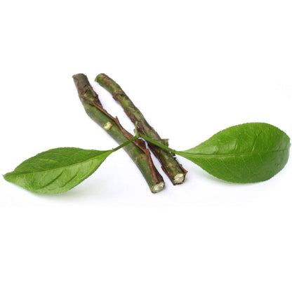 Amyris Extract Powder - Amyris balsamifera  - Bulk Supplier India  - shop_name