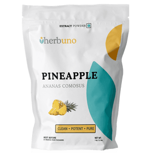 Ananas comosus Pineapple Bromelain Extract Powder - Bulk Supplier India