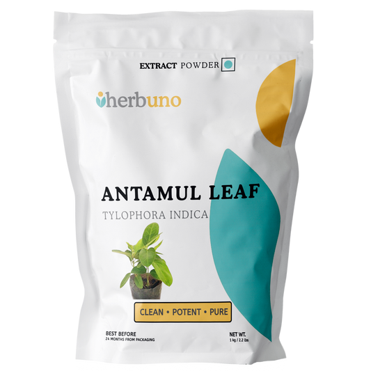 Antamul Leaf Extract Powder - Tylophora Indica - Herbuno (Gausyn Global LLP)