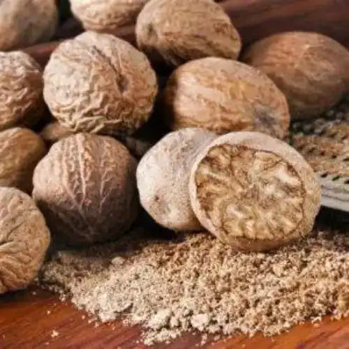 Areca Catechu (Betel Nut) Extract Powder - Herbuno.Com