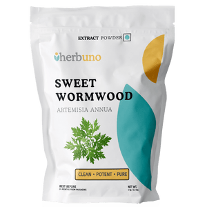 Artemisia Annua (Sweet Wormwood) Extract Powder - Bulk Supplier India