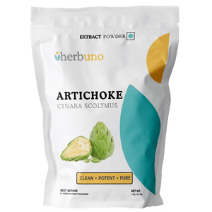 Artichoke Leaf Extract Powder - Cynara scolymus - Bulk Supplier India