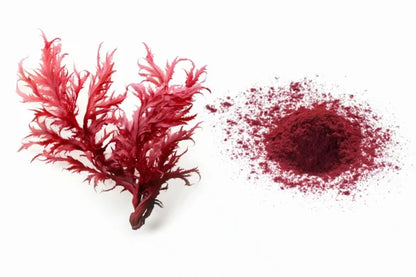 Astaxanthin 10% Powder - Herbuno.Com