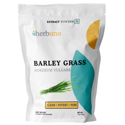 Barley Grass Extract Powder - Hordeum vulgare - Herbuno.Com
