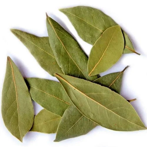 Bay Leaf (Tejpat) Extract Powder - Cinnamomum tamala - Herbuno.Com