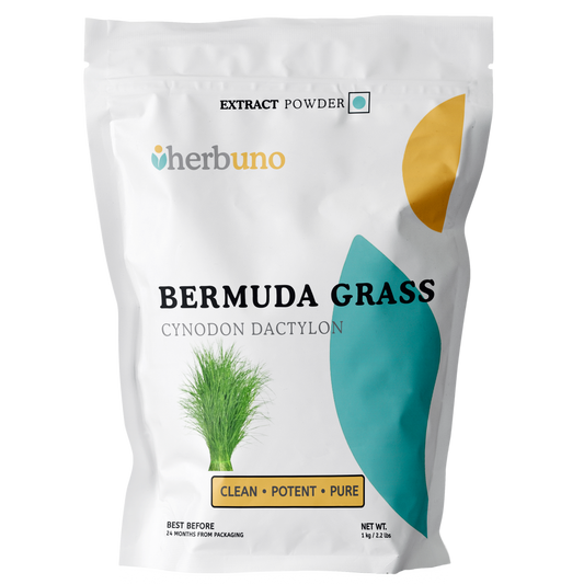 Blaubeerextraktpulver