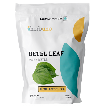 Betel Leaf (Paan) Extract Powder - Piper betle - Herbuno.Com