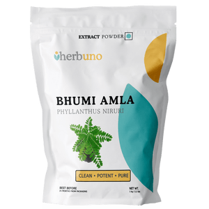 Bhumi Amla (Phyllanthus Niruri) Extract Powder - Bulk Supplier India