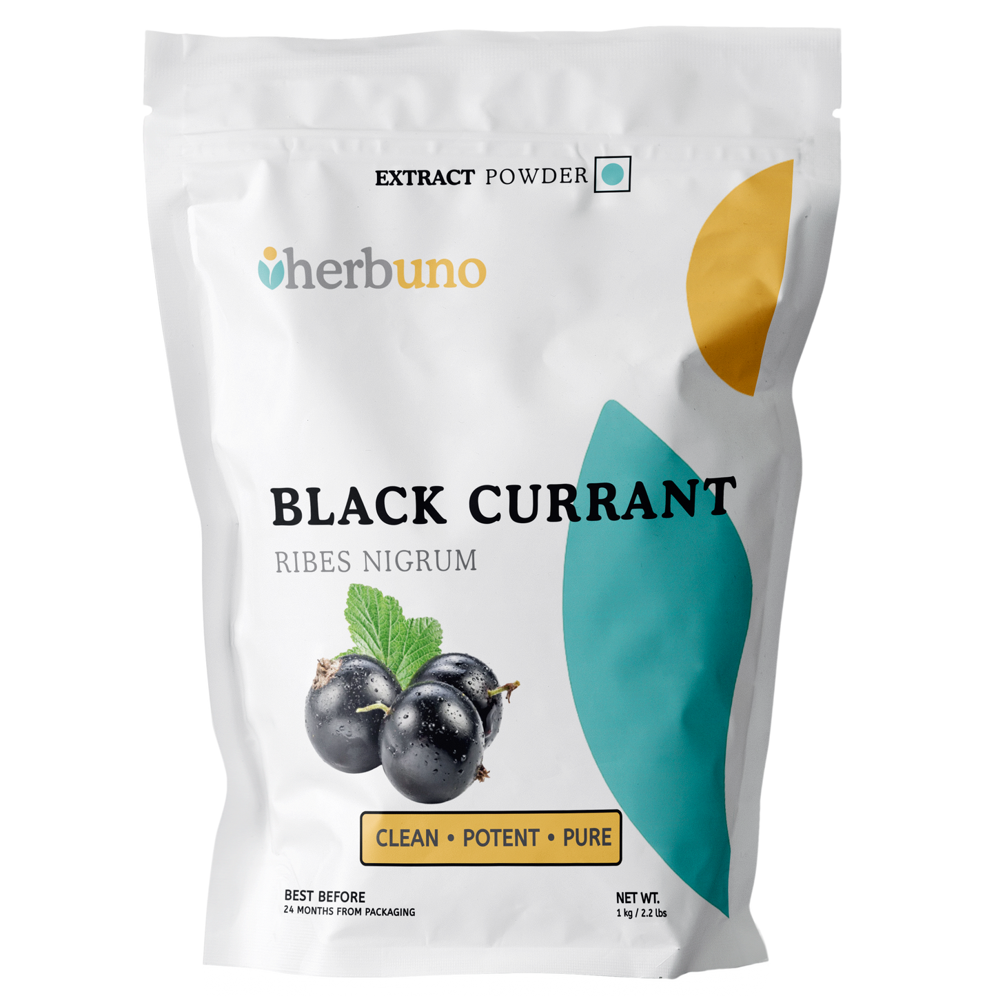 Black Currant Fruit Extract Powder - Ribes nigrum