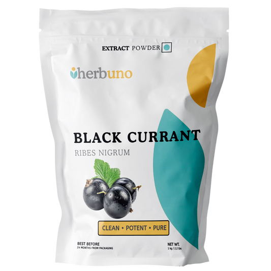 Black Currant Fruit Extract Powder - Ribes nigrum - Herbuno (Gausyn Global LLP)
