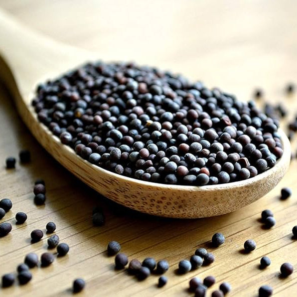 Black Mustard Extract Powder - Brassica Nigra - Herbuno.Com