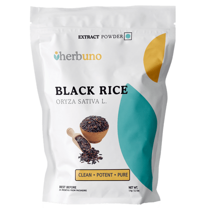 Black Rice Extract — Oryza sativa  - Bulk Supplier India  - shop_name