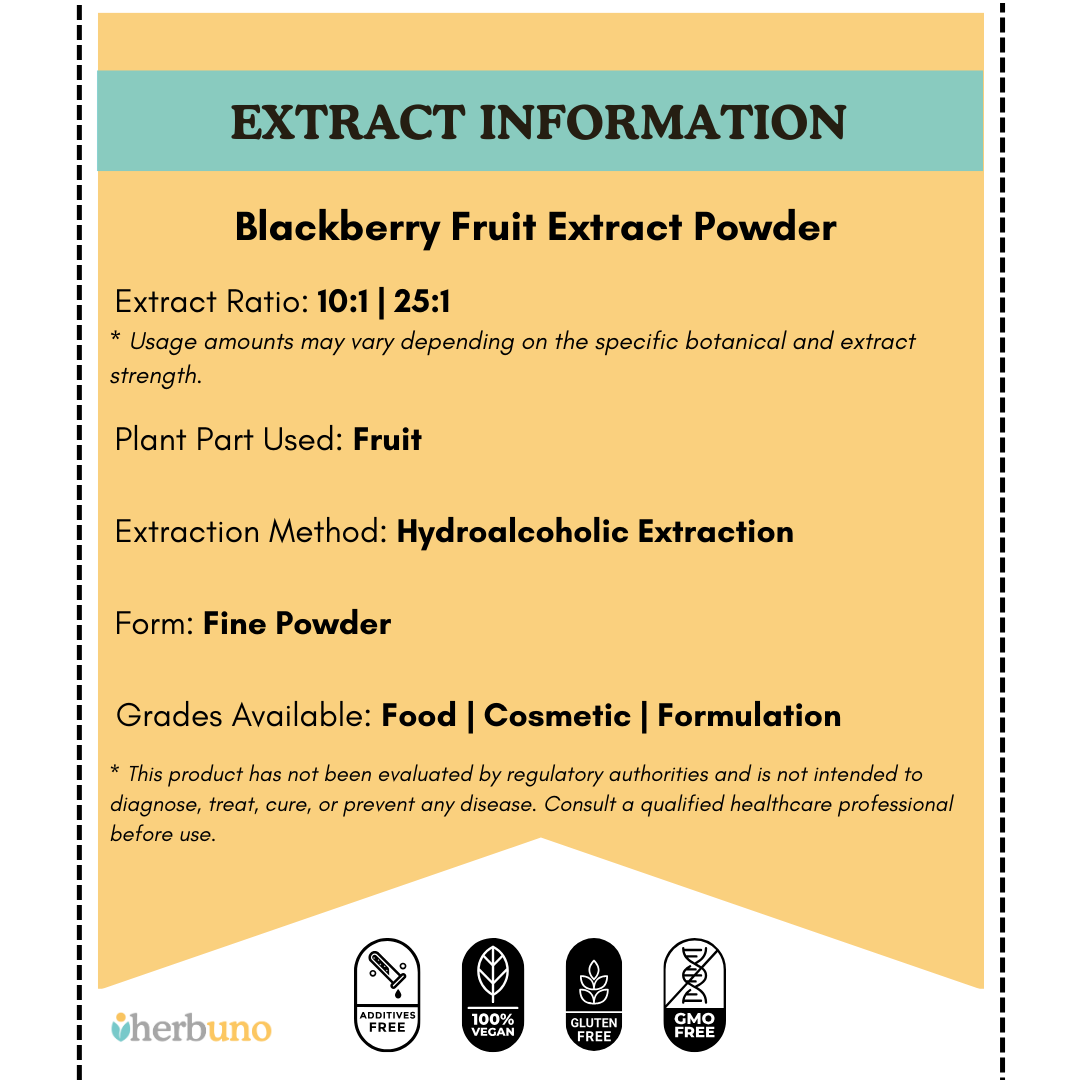 Blackberry Fruit Extract Powder - Rubus fruticosus - Herbuno.Com