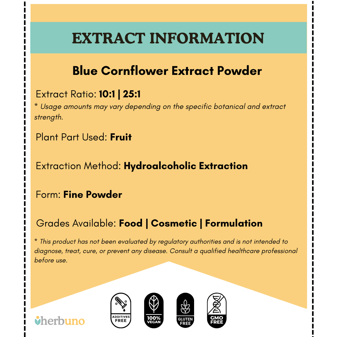 Blue cornflower Extract Powder - Centaurea cyanus  - Bulk Supplier India  - shop_name